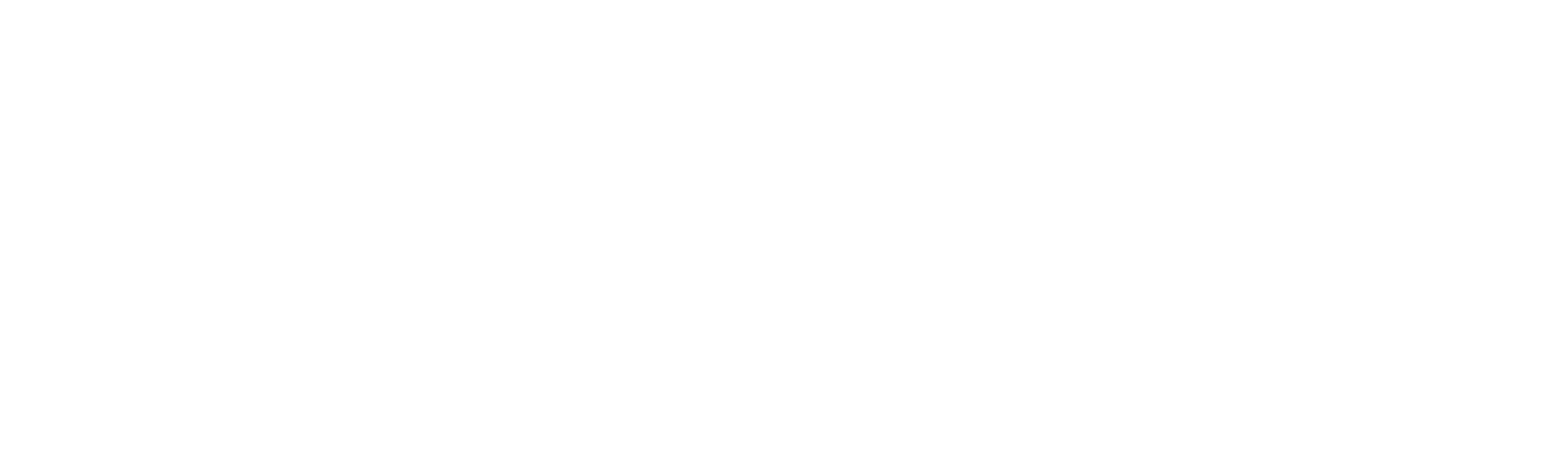 Fly Africa
