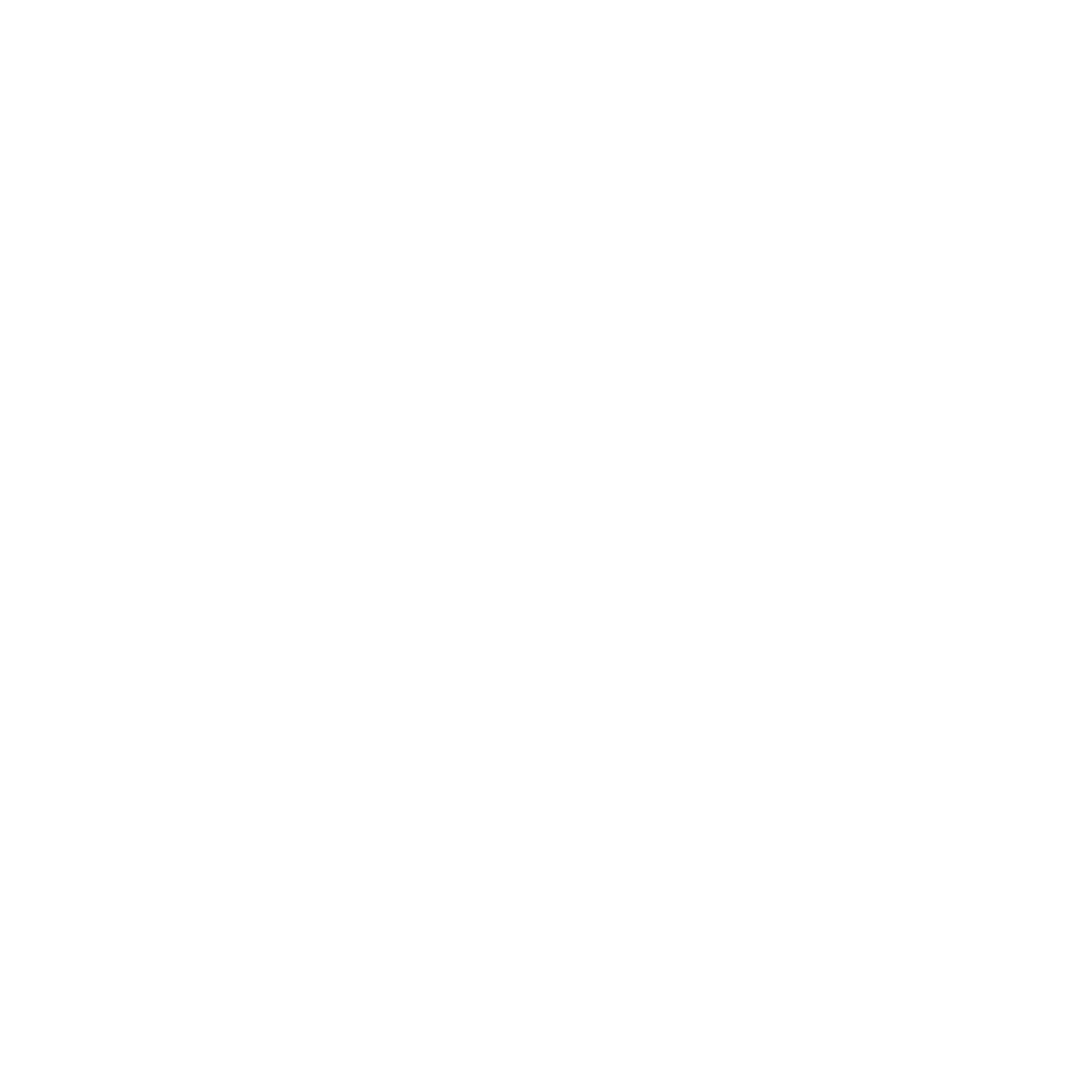 Forest Wonders