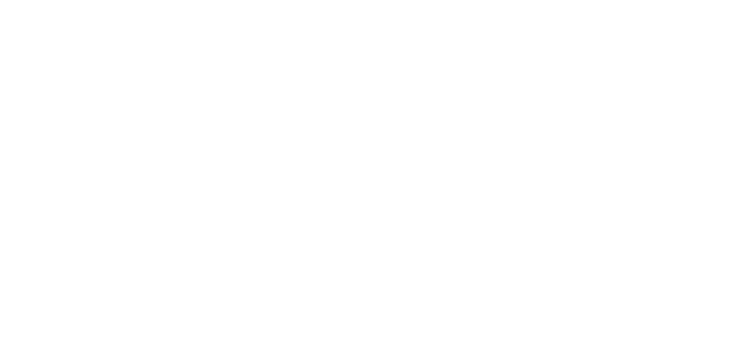 WORTH KSA